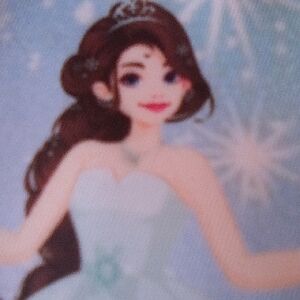 Disney Princess 3 Zippered Insulated Lunch Box Case With Handle .